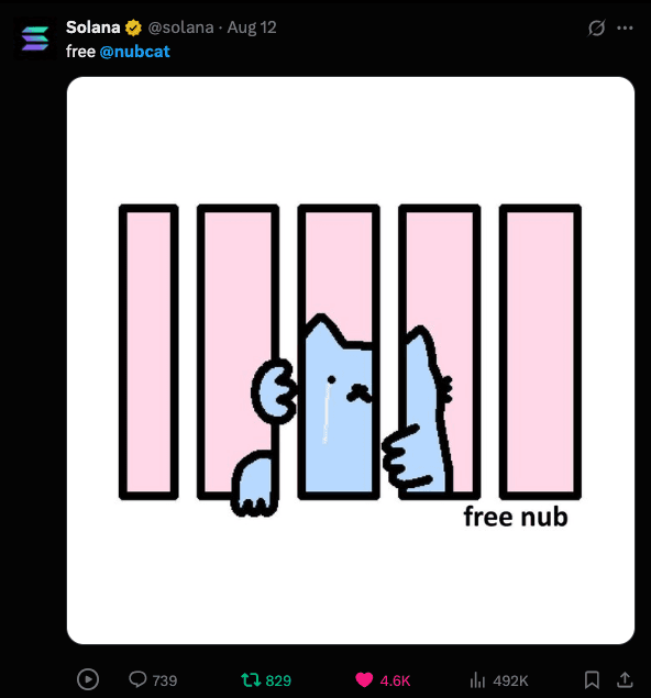 nubcat memecoin