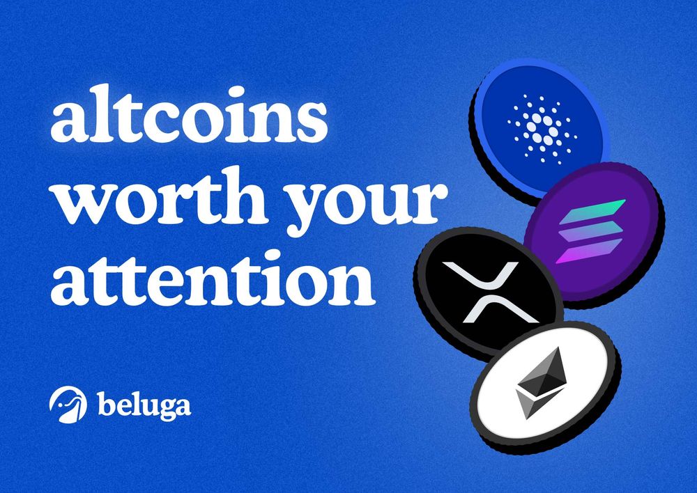 Image for Altcoins That Are Worth Your Attention in 2025