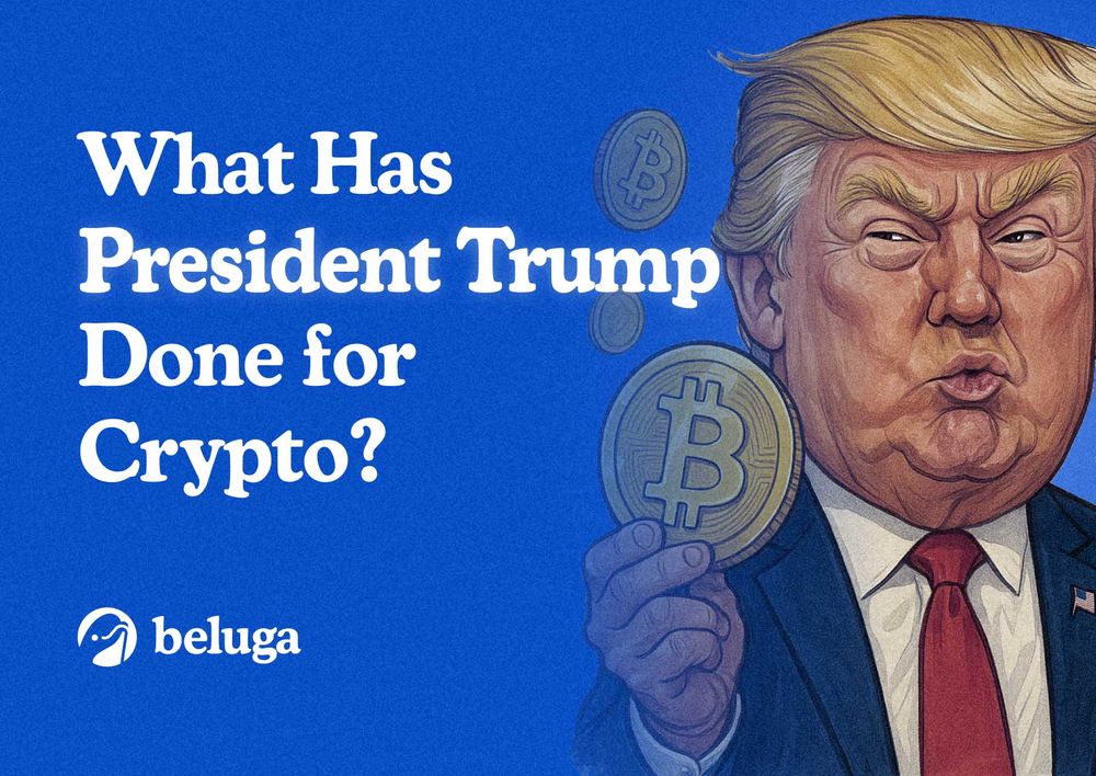 Image for What Has President Trump Done for Crypto?
