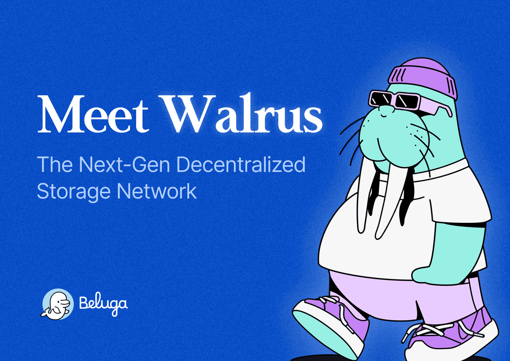 Image for Meet Walrus: The Next-Gen Decentralized Storage Network
